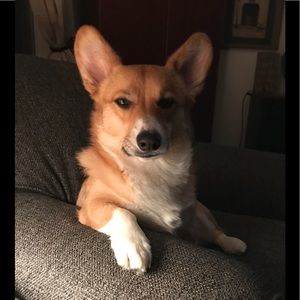 Meet your Posher, Mary